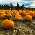 The Ultimate October Half-Term: Our Guide to 2026